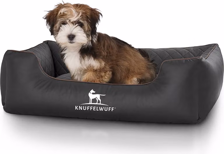 Cuccia per cani Milan in ecopelle trapuntata L nera