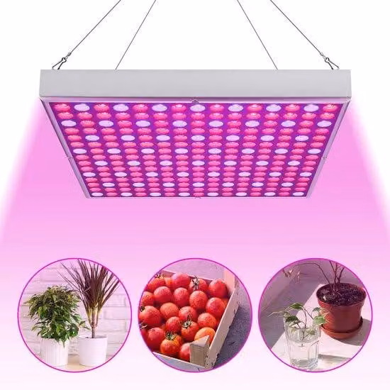 Lampada LED per coltivazione - 15 W - 305 x 305 cm - Spettro completo - 225 LED