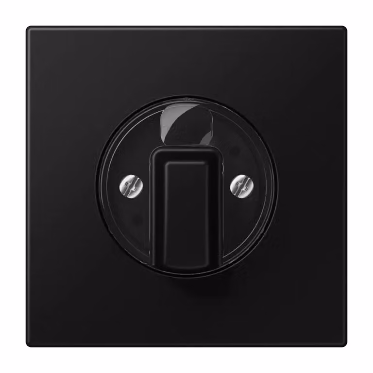 Copertura Jung per interruttore rotante, termoindurente verniciato, serie LS, nero grafite opaco LS1941SWM