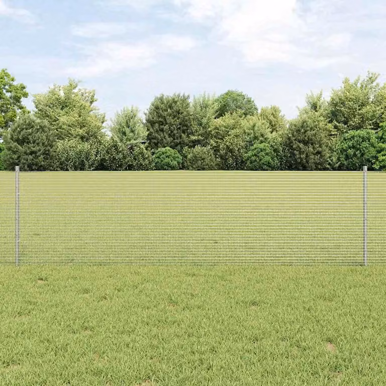 Maison Exclusive - Recinzione con Posto Argento 0,6 x 10 m Acciaio