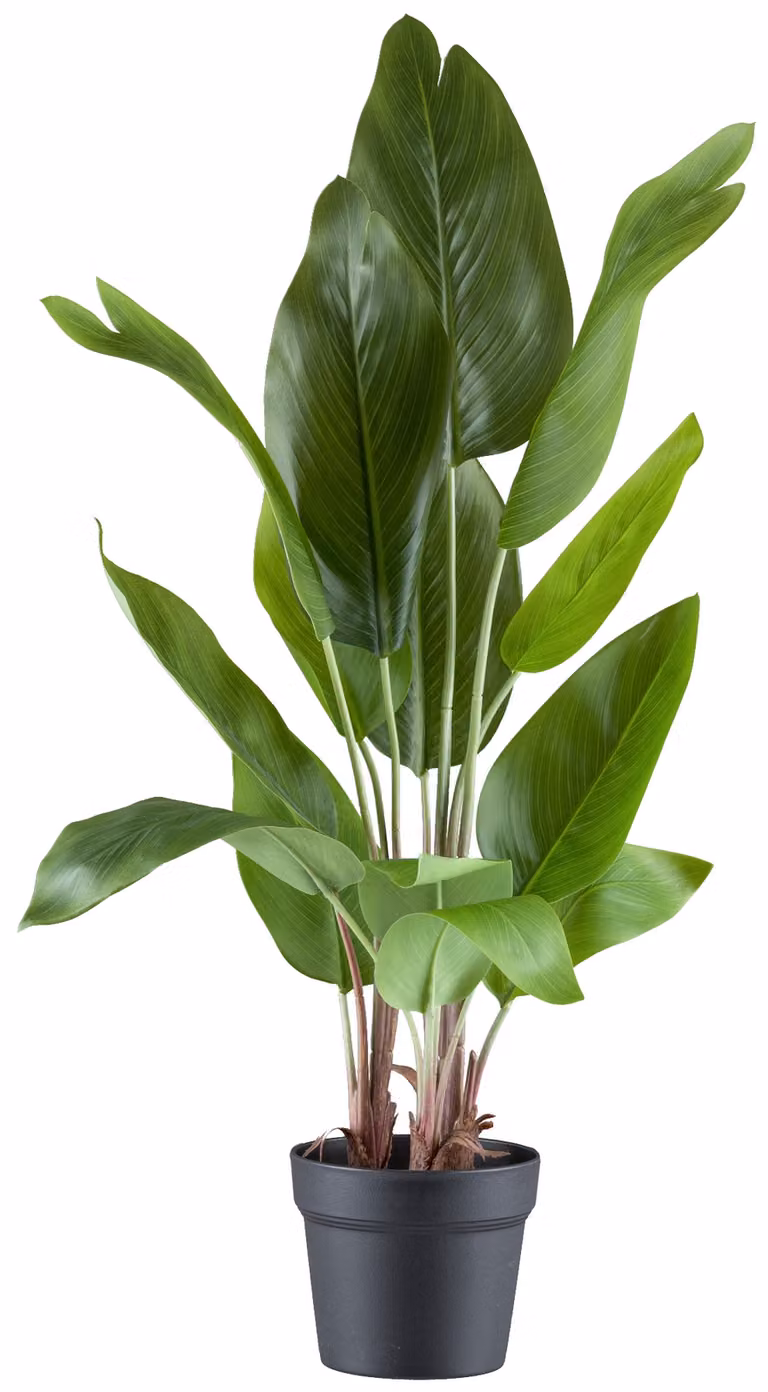 Pianta artificiale Strelitzia nicolai 70 cm in vaso con ghiaia - decorazione verde per la casa