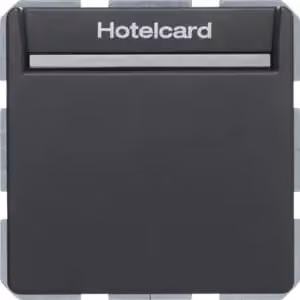 Berker 16406096 Interruttore a relè con elemento centrale per Hotelcard, antracite, con Berker Q.1/Q.3