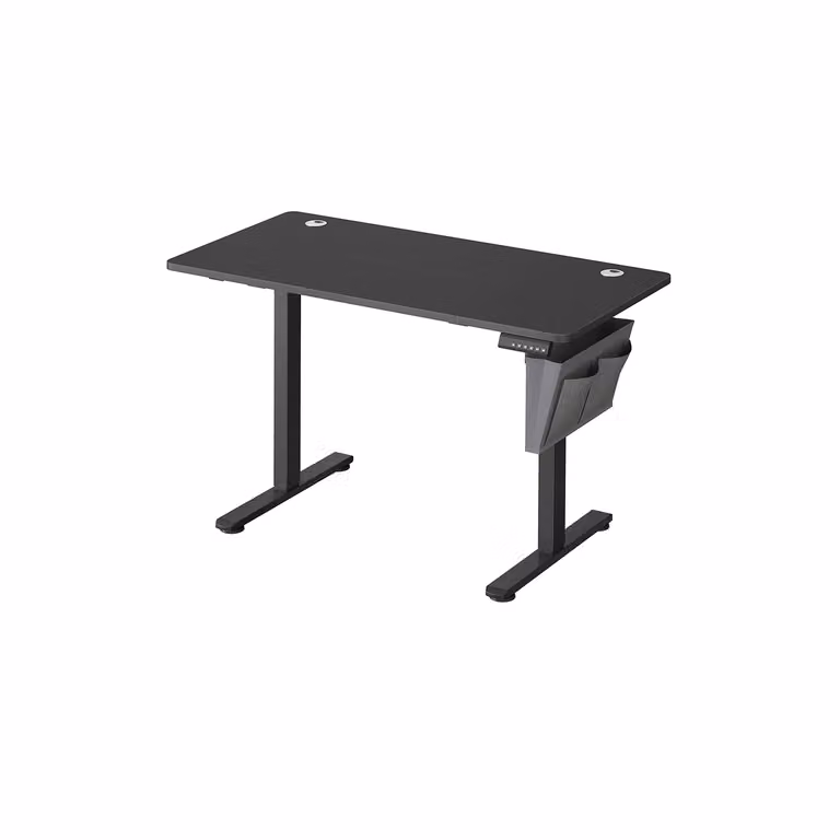Scrivania Regolabile in Altezza Scrivania Elettrica per Lavoro in Piedi, Nero Inchiostro / 60 x 120 x (72-120) cm (P x l x H)