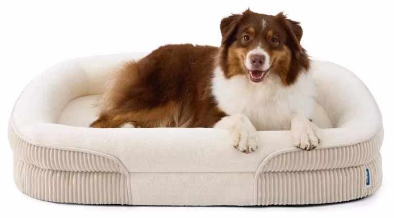 Cuccia ortopedica per cani, grande, 97x71x18 cm, color crema