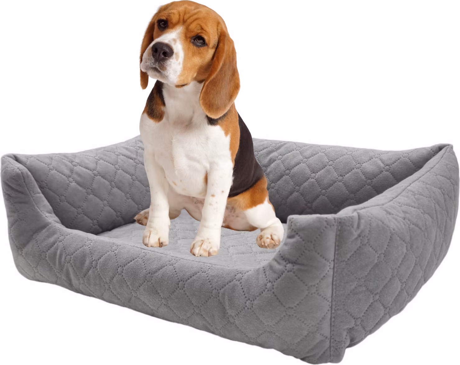 Letto per cani di piccola taglia Divano per cani Cesto per cani con bordi rialzati (70 x 60 cm grigio)