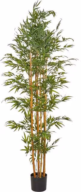 Pianta artificiale verde Beliani con vaso in plastica nero per interno ed esterno, Altezza: 220 cm – 1