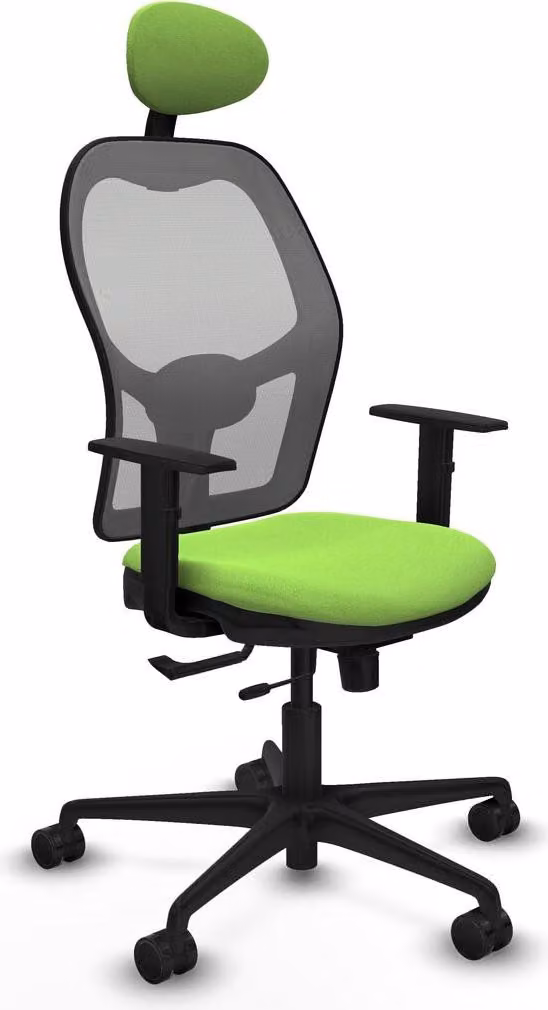Sedia da ufficio con poggiatesta Jorquera Piqueras y Crespo 1D036N1 Colore Pistacchio