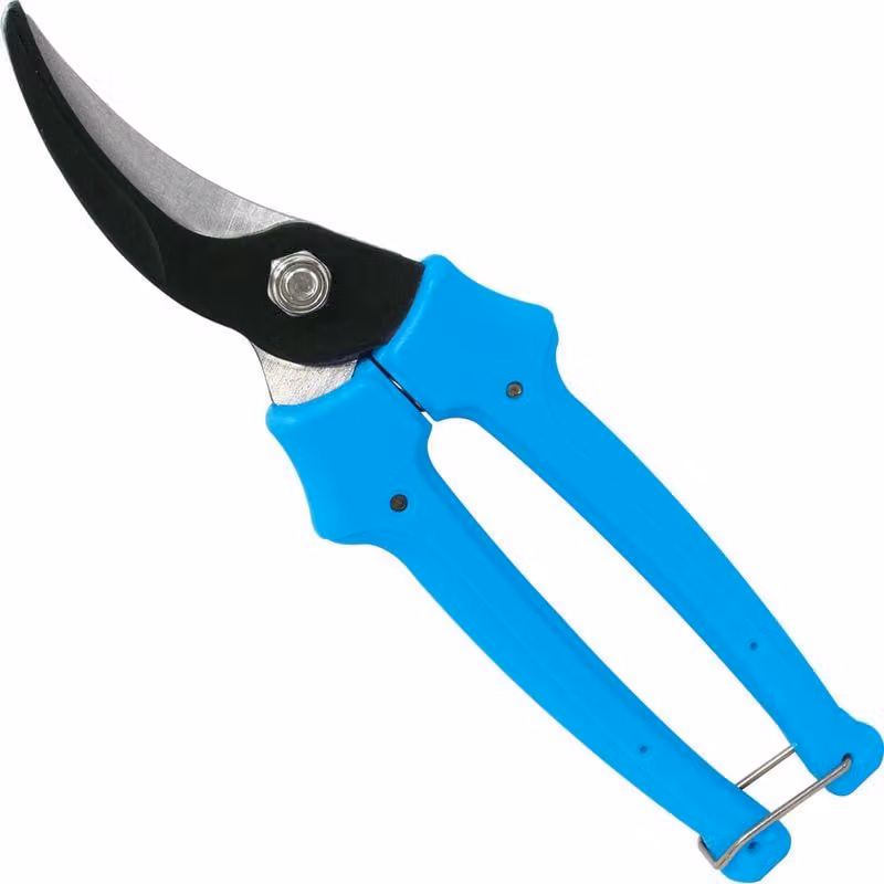 Forbici AQUACRAFT 330411, da giardino, per rami, economiche, Bypass