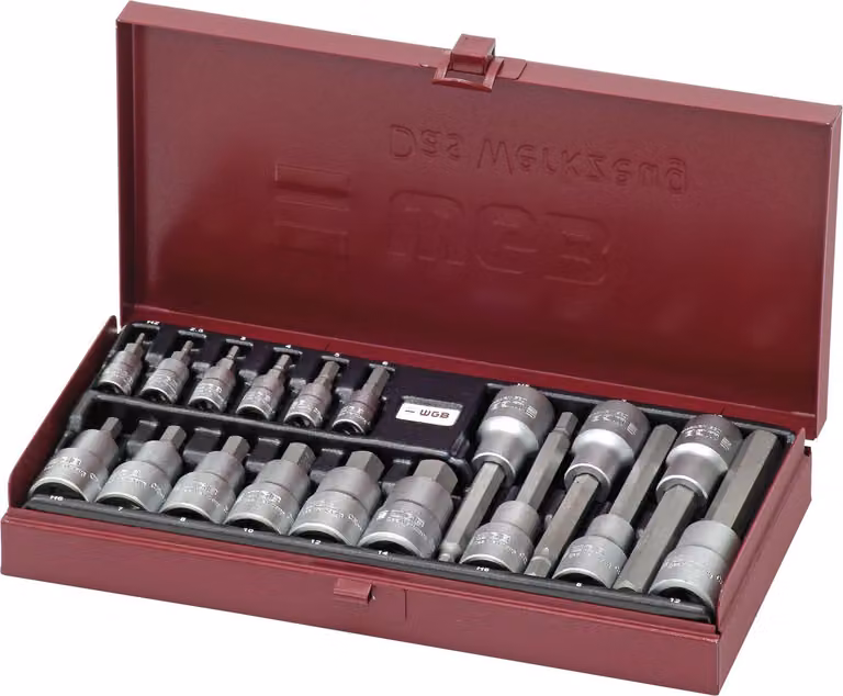 Set di chiavi a bussola WGB 3910 1/4" e 1/2" esagono incassato Set da 18 pezzi