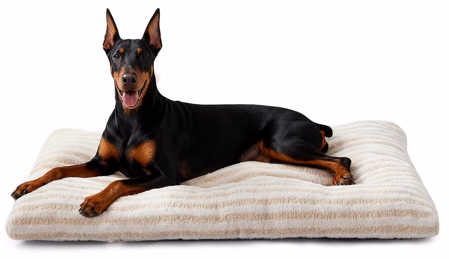 Cuccia per cani, taglia XXL, lavabile, morbidissima, traspirante, antiscivolo, dimensioni 121x75x11 cm, colore beige