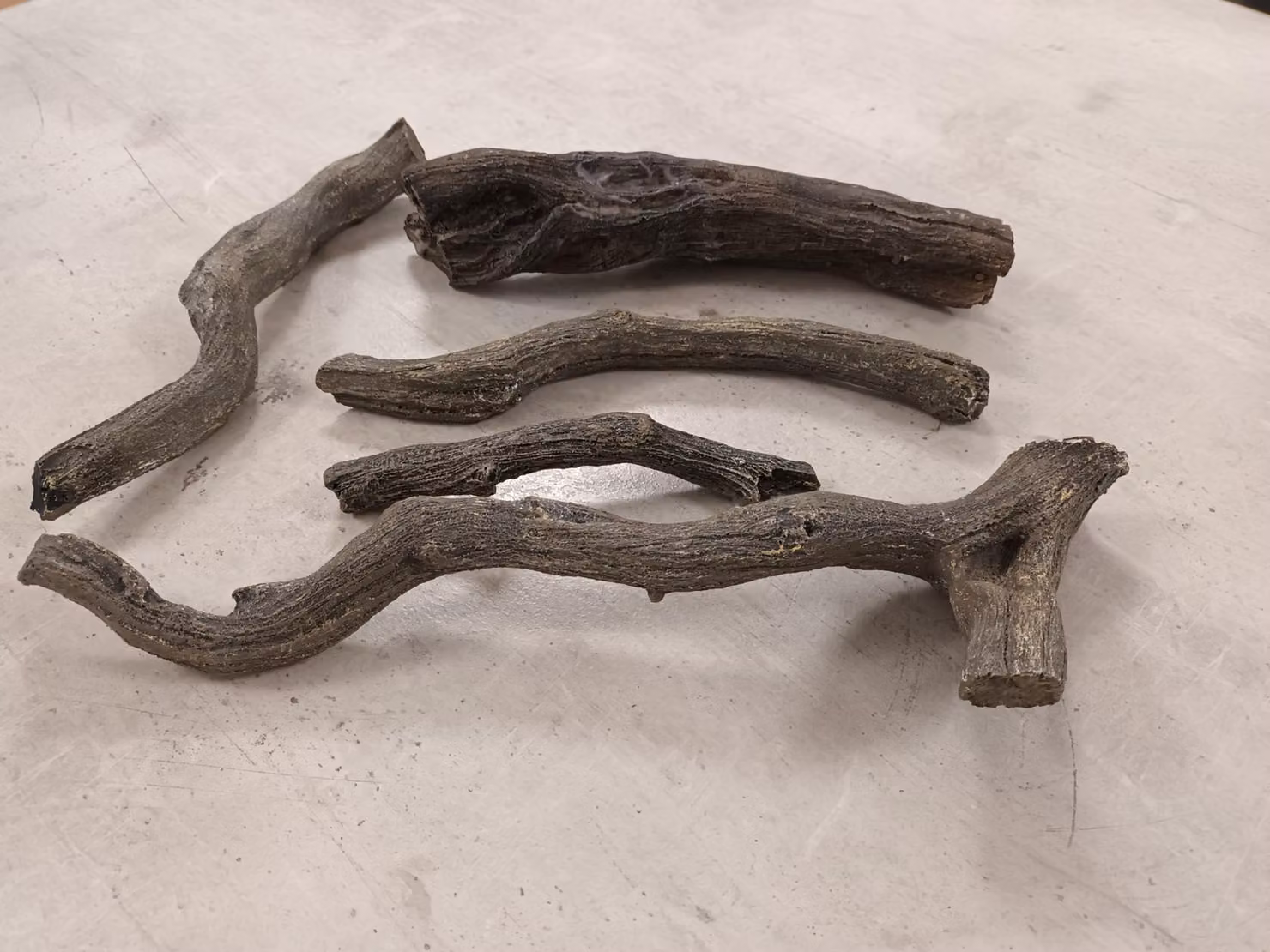 CHEMIN'ARTE: Tronchi di legno decorativi per caminetti elettrici