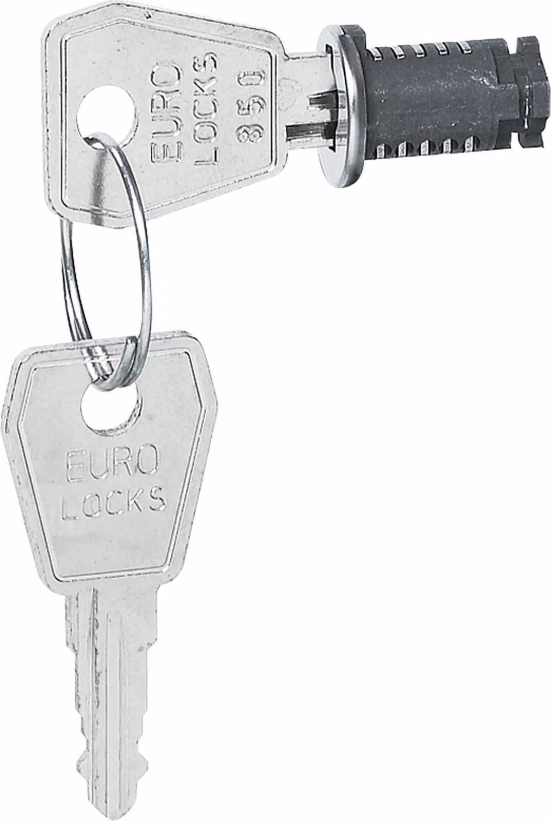 Serratura Legrand, 2 chiavi, chiusura n. 850, per porte di distribuzione Plexo³, 1 pz.