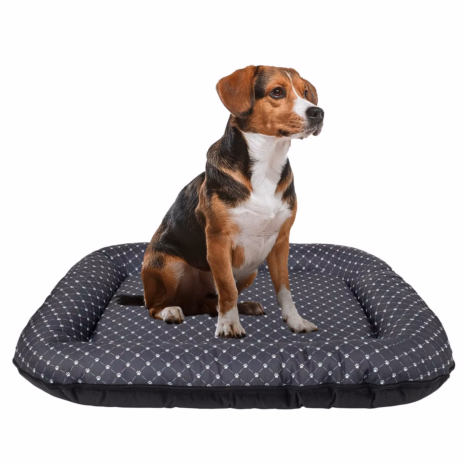 Cuccia per cani - Tappetino impermeabile e lavabile in Codura | In & Outdoor per cani di taglia grande e gigante | Colore: Nero/Modello: Zampe, Misura XXL: 120 x 90