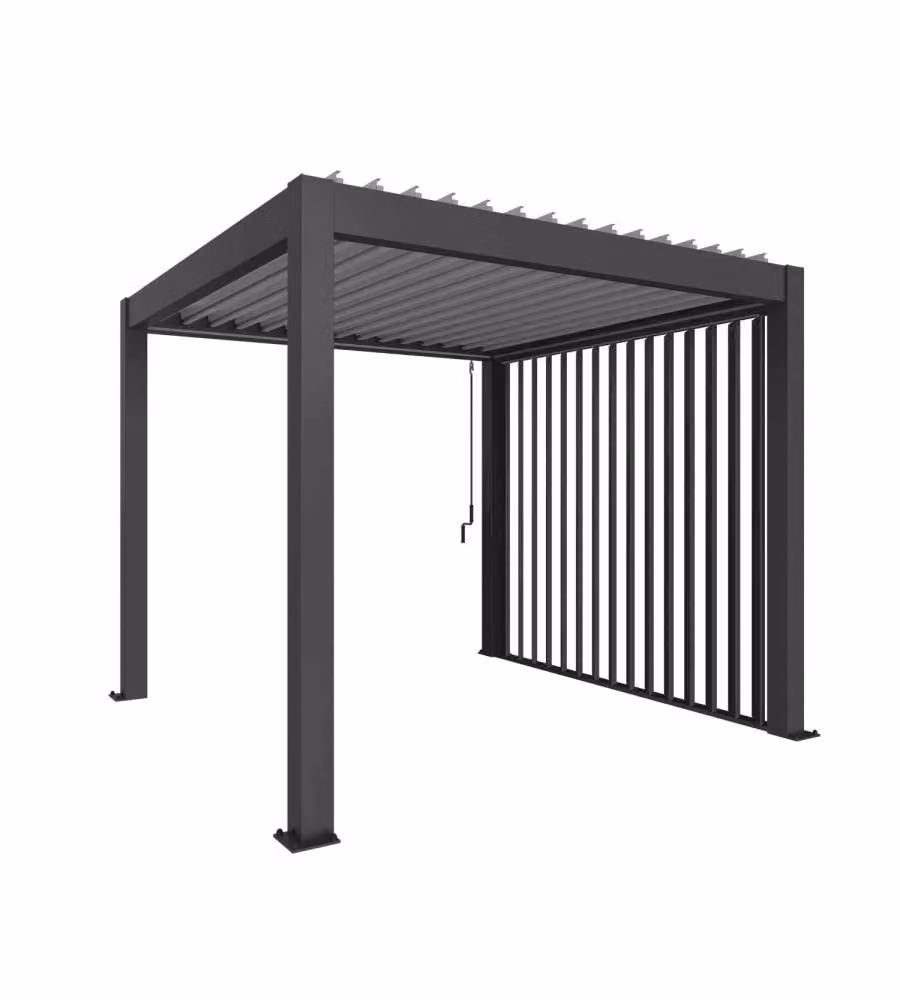 Biohort Parete Laterale a Lamelle 10x235x327 cm Grigio Scuro Metallizzato