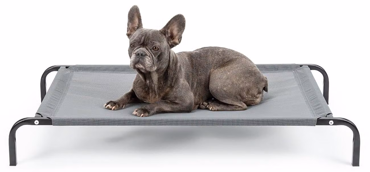 lettino per cani lionto, comodo letto per cani da esterno con tessuto a rete, rialzato, arioso e resistente alle intemperie, 106x62 cm, grigio