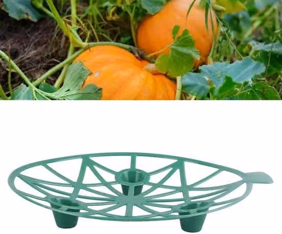 Supporto per angurie da 10 pezzi, resistente e stabile, ideale per giardini e agricoltura