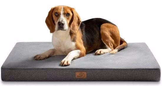 Cuscino per cani, grande cuccia morbida, lavabile, con imbottitura in schiuma, accogliente cuccia per cani, dimensioni 90 x 55 x 8 cm, grigio