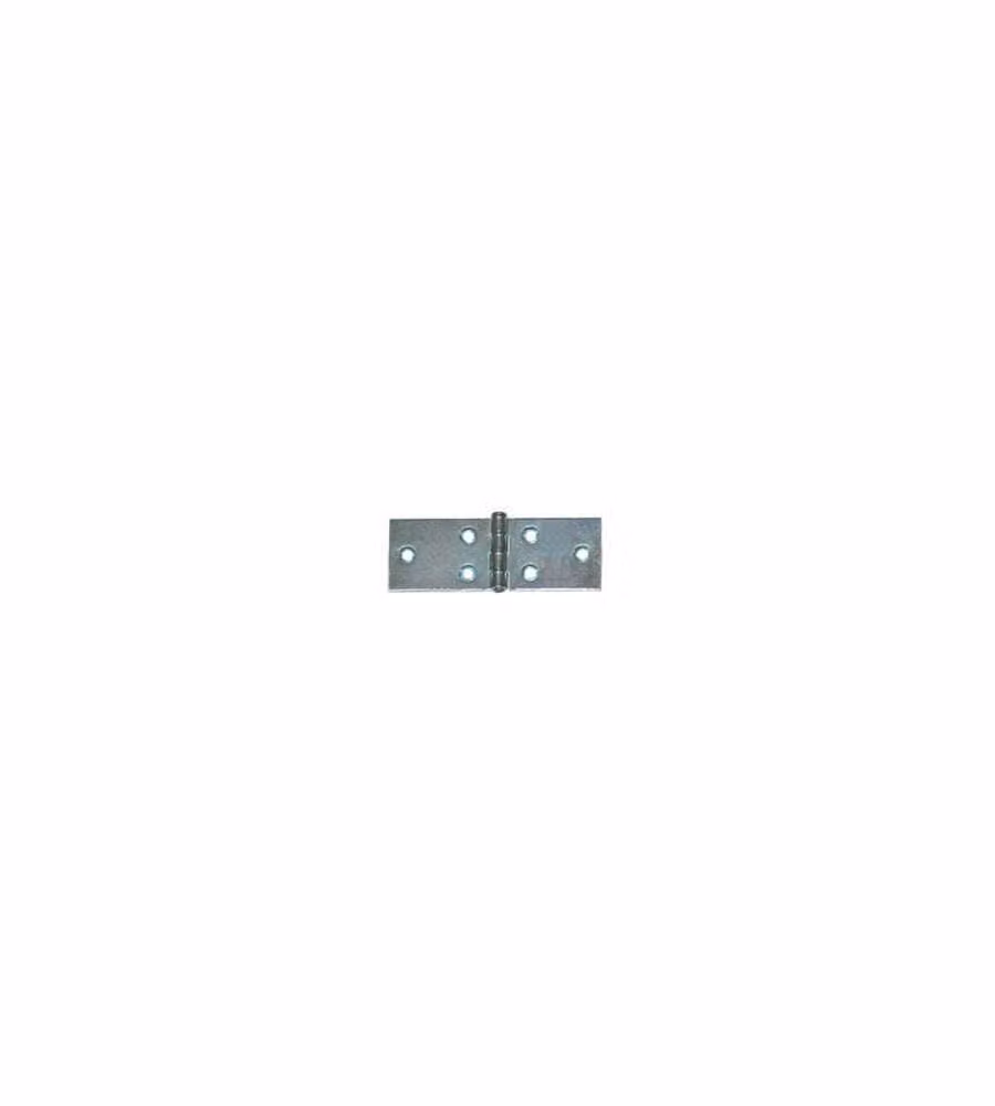 Cerniere lunghe 40 x 25 mm zincate