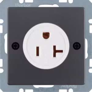 Presa Berker 41686086 con polo di terra "USA/CANADA" NEMA 5-20 R antracite con Berker Q.1/Q