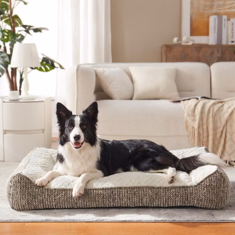 Cuccia ortopedica per cani di grossa taglia, ergonomica, lavabile, con rivestimento removibile, antiscivolo, con bordo rialzato, realizzata in morbido pile a motivo di fiocchi di neve, dimensioni 89x64x20 cm, colore beige
