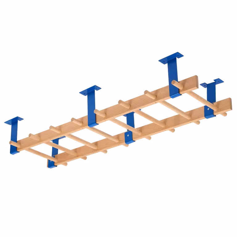 Scaletta Sport-Thieme "Roof"