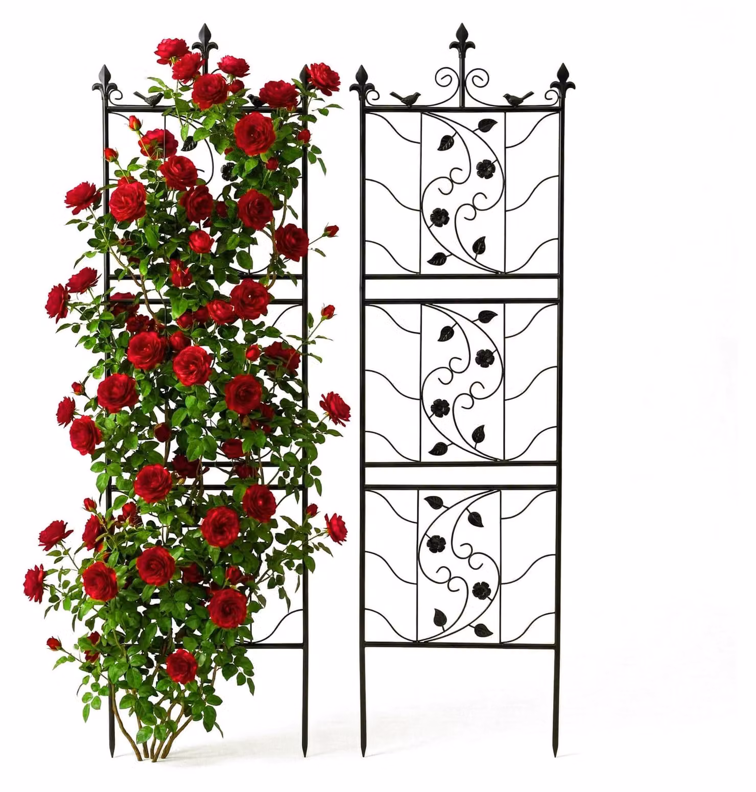 Elzusha - Set di 2 scaffali per piante da esterno