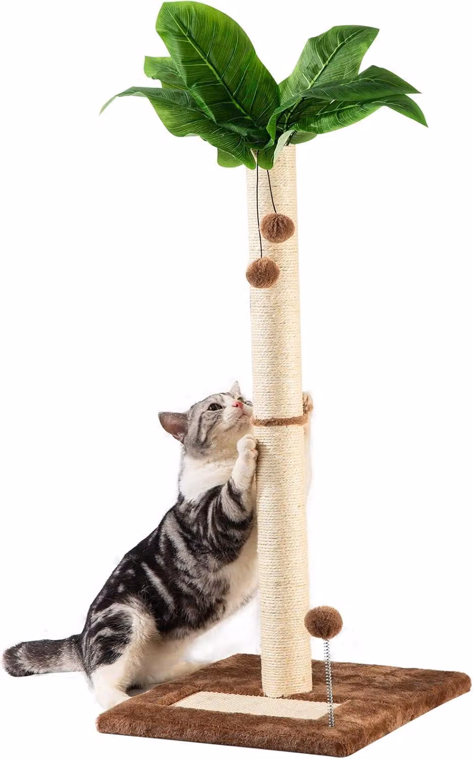 Albero per gatti, 80 cm, per interni, con giochi, color marrone