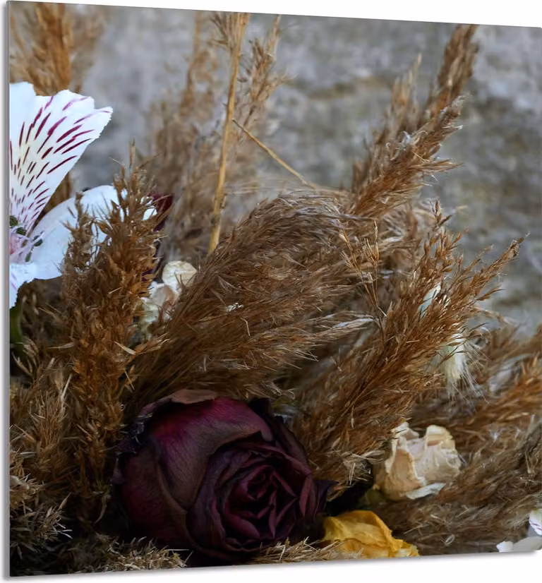 PIATTO IN VETRO PER CUCINA 60x65 Orchidea