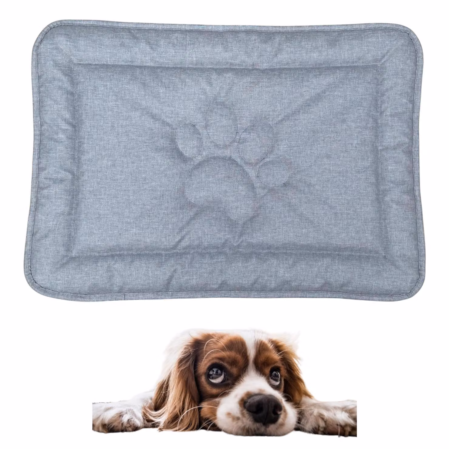 Tappeto per cani DOTTY con motivo a zampa - grigio chiaro - misura S (60×45 cm) - cuccia antiscivolo e impermeabile - cuccia lavabile per cani di piccola taglia