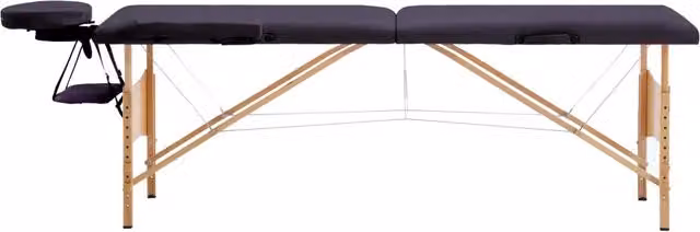 Lettino da Massaggio Pieghevole a 2 Sezioni in Legno di Faggio Viola CFW3550202