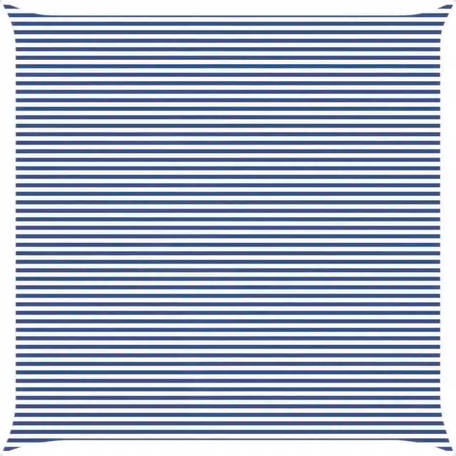 Vela Parasole Quadrata in Poliestere Blu e Bianco 7 x 7 m