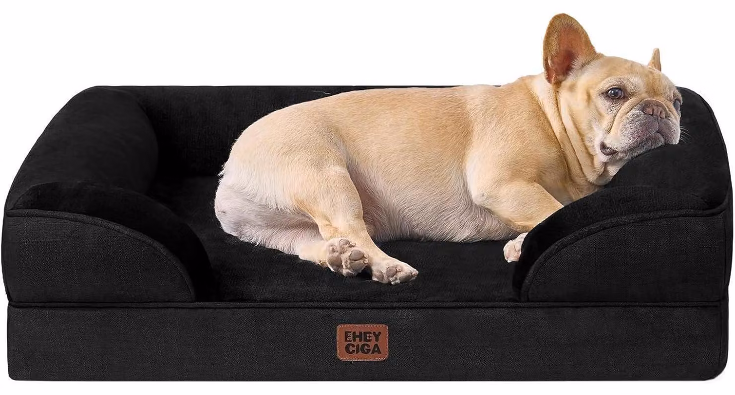 Cuccia ortopedica per cani, 76x51 cm, realizzata in memory foam. Ideale per cani di taglia media. Lavabile, impermeabile e antiscivolo. Colore: nero