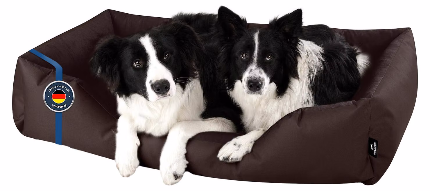 BedDog letto per cani ZARA cuscino per cani con rivestimento lavabile cesto per cani divano per cani, CIOCCOLATO (marrone), (XXL) circa 120x85x23cm