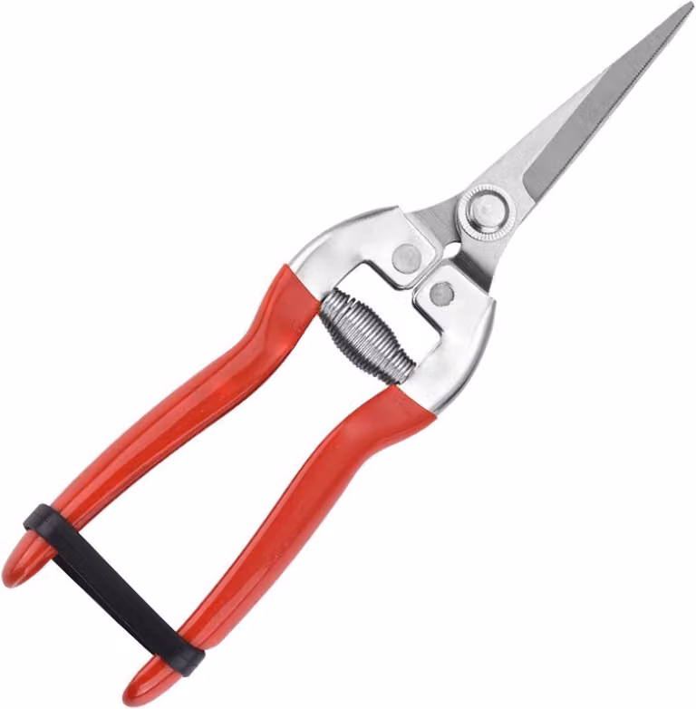Forbici da giardino professionali rosse – cesoie per potare fiori e rami, acciaio inossidabile, ergonomiche e sicure