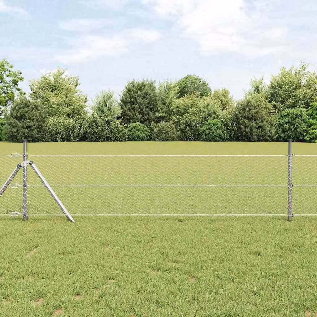 Maison Exclusive - Palo della recinzione Argento 100 x 0,8 m (rete da 25 mm)