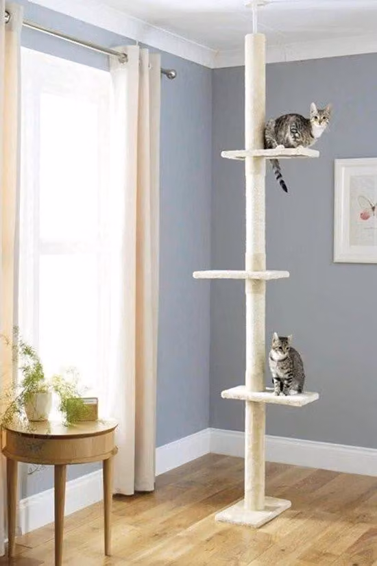 Parete da arrampicata e tiragraffi, regolabile in altezza, arredo per gatti