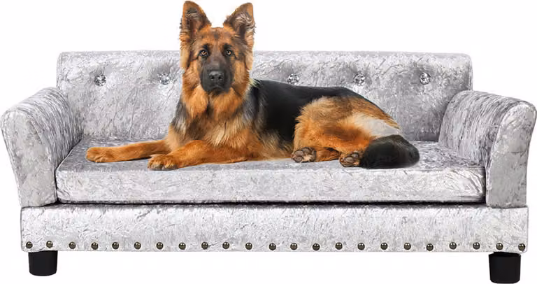 WISFOR Divano per animali domestici con schienale, divano per cani con struttura in legno, materassino per cani, L: 95 x 70 x 40 cm