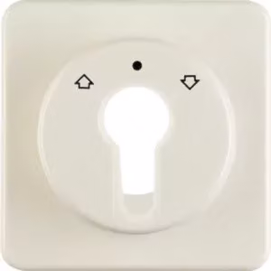 Berker 151812 Elemento centrale per interruttore a chiave/pulsante per tapparelle, bianco lucido, versione da incasso, IP44