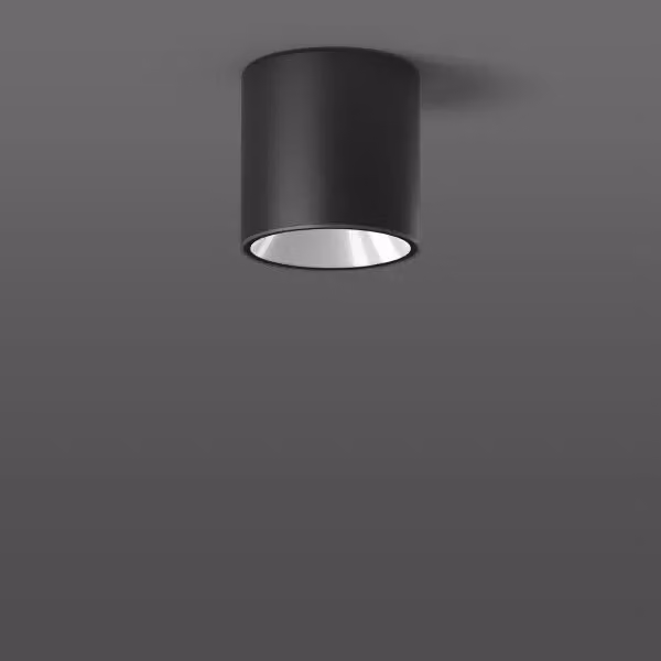 RZB ANDHO midi, illuminazione a soffitto per esterni, antracite, alluminio, IP65, I, IK06