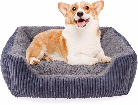 Cuccia ortopedica per cani di taglia media, divanetto in peluche lavabile con rivestimento in velluto a coste, antiscivolo, grigio, 76 x 60 cm