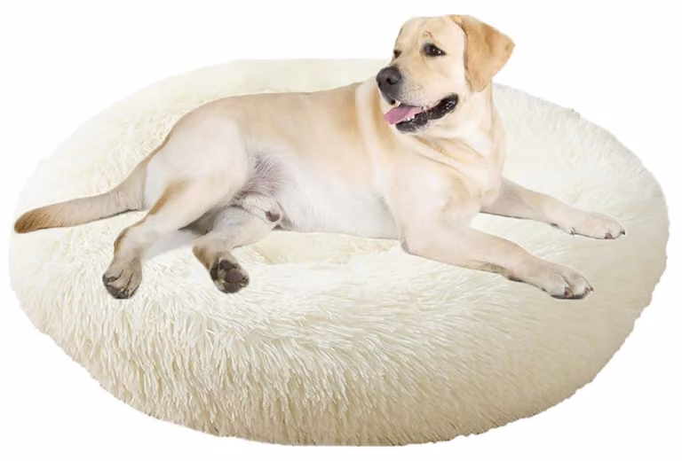 Cuccia per cani, cuccia per gatti, forma a ciambella, rotonda, diametro 120 cm, colore bianco, lavabile, morbida e pelosa