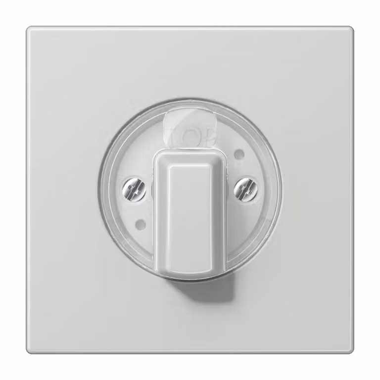 Jung LS1941LG Copertura grigio chiaro