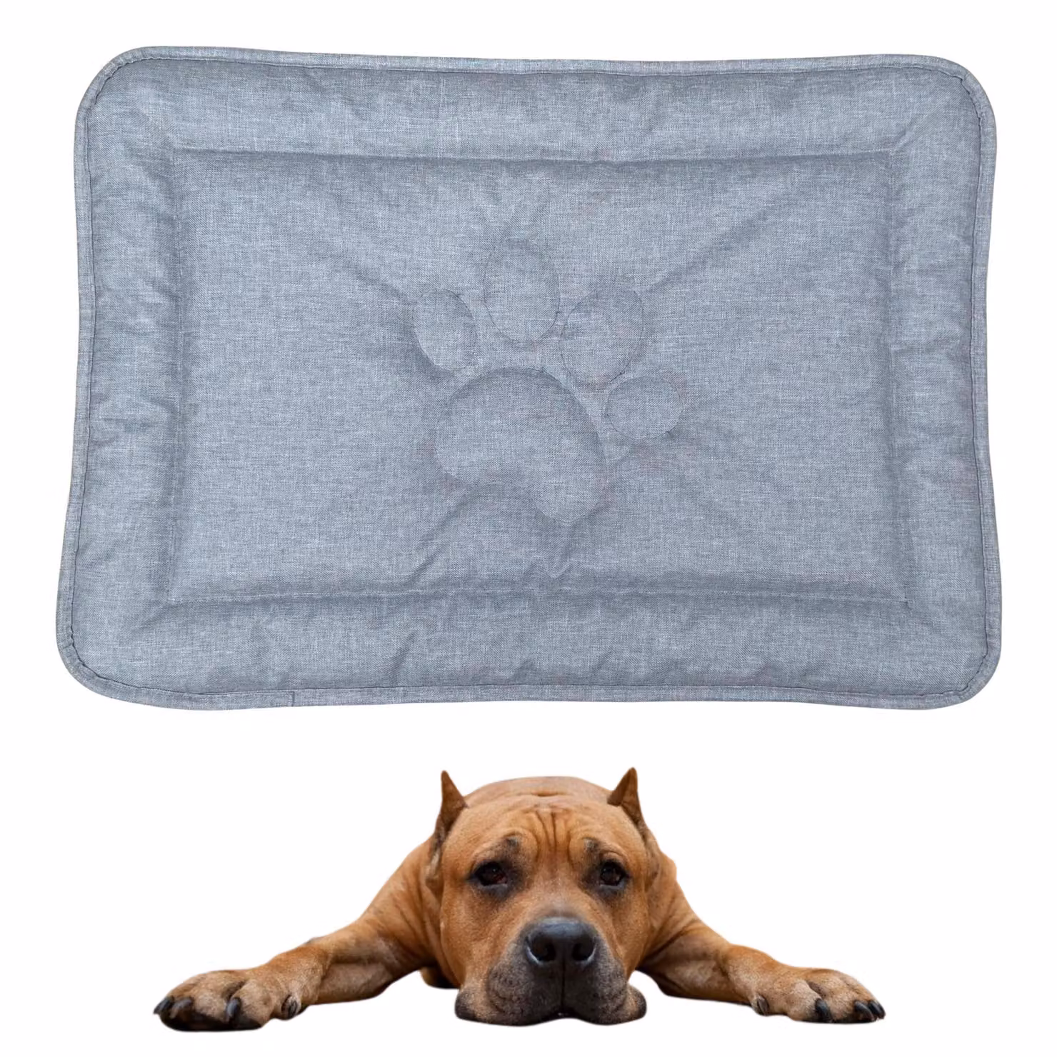 Tappeto per cani DOTTY con motivo a zampa - grigio chiaro - misura L (88×60 cm) - impermeabile, antiscivolo e lavabile - accogliente cuccia per cani di taglia grande