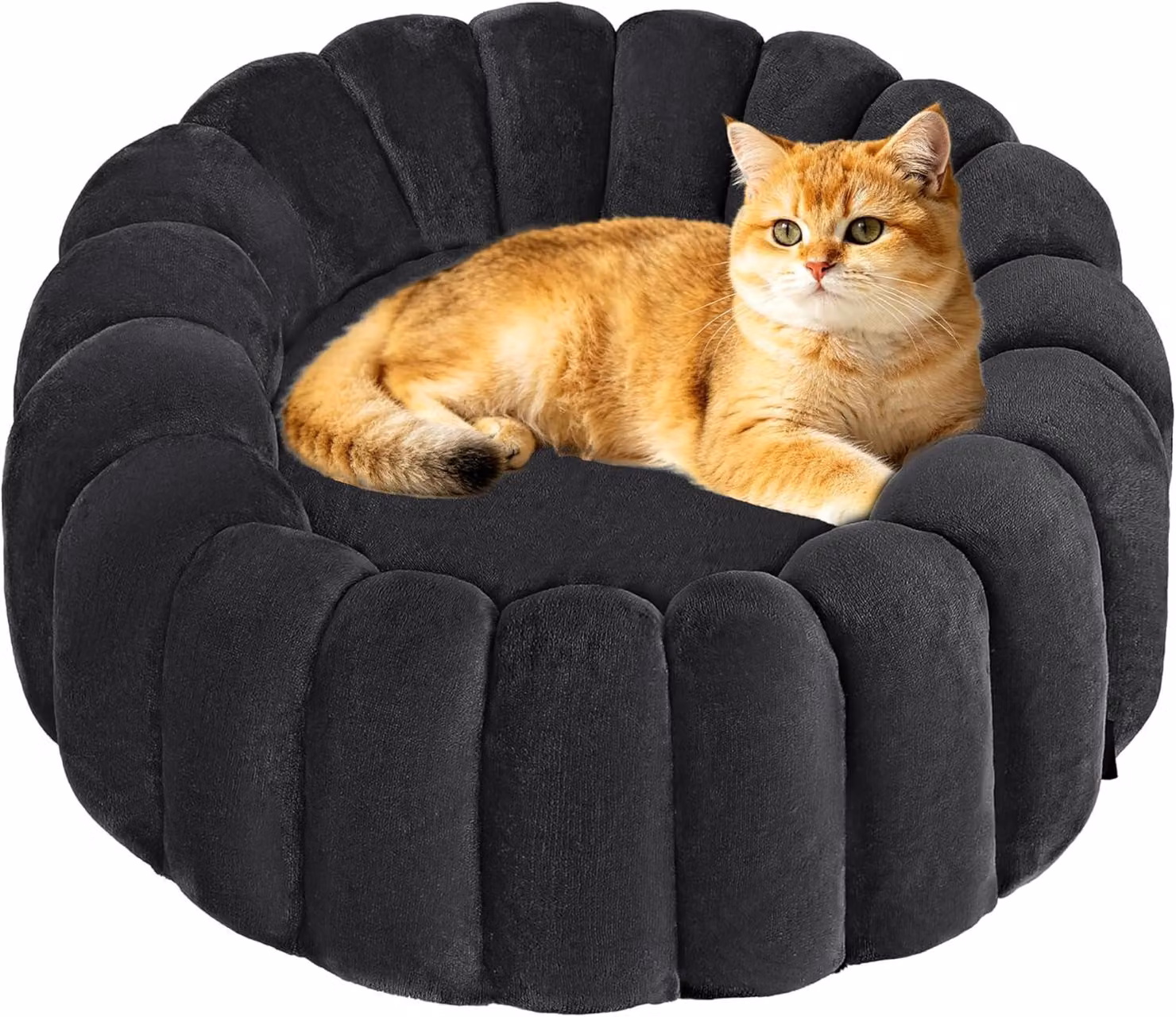 Cuccia per cani, grigio scuro, 50 cm, lavabile, antiscivolo, resistente alle macchie, adatta sia per interni che per esterni, confortevole