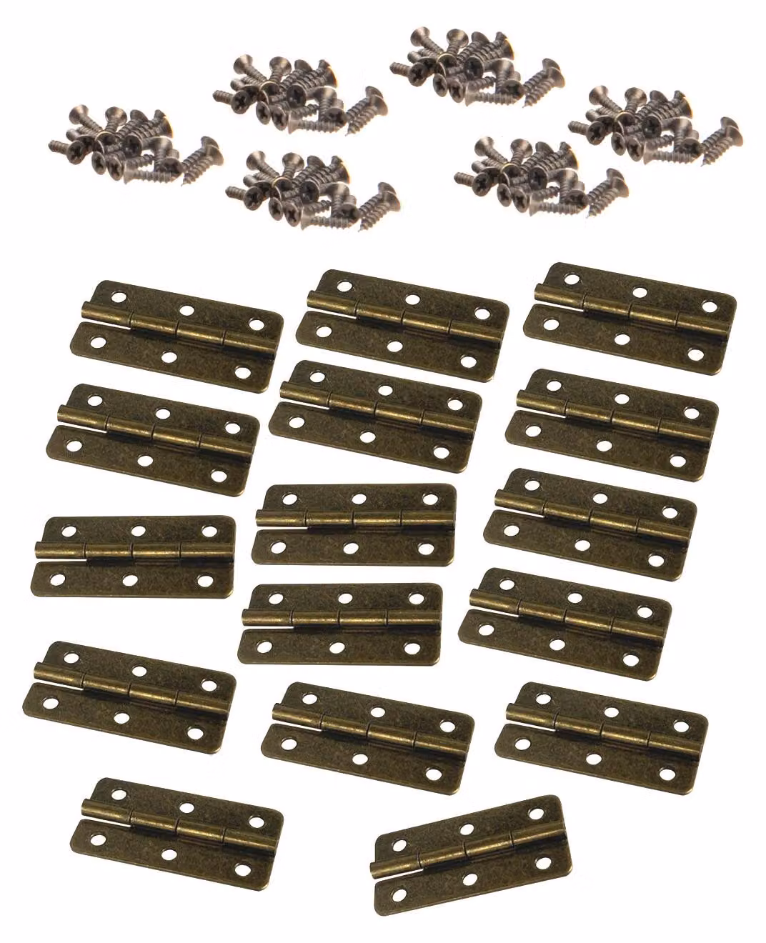 Set di 16 cerniere in bronzo (20x40 mm, viti incluse)
