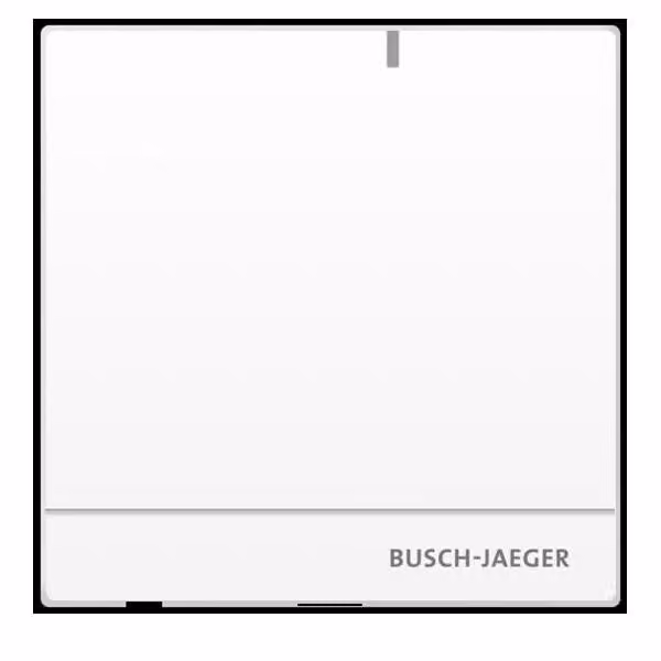 Gateway RF/IP Busch-Jaeger D04031-03 2TMA400260W0015