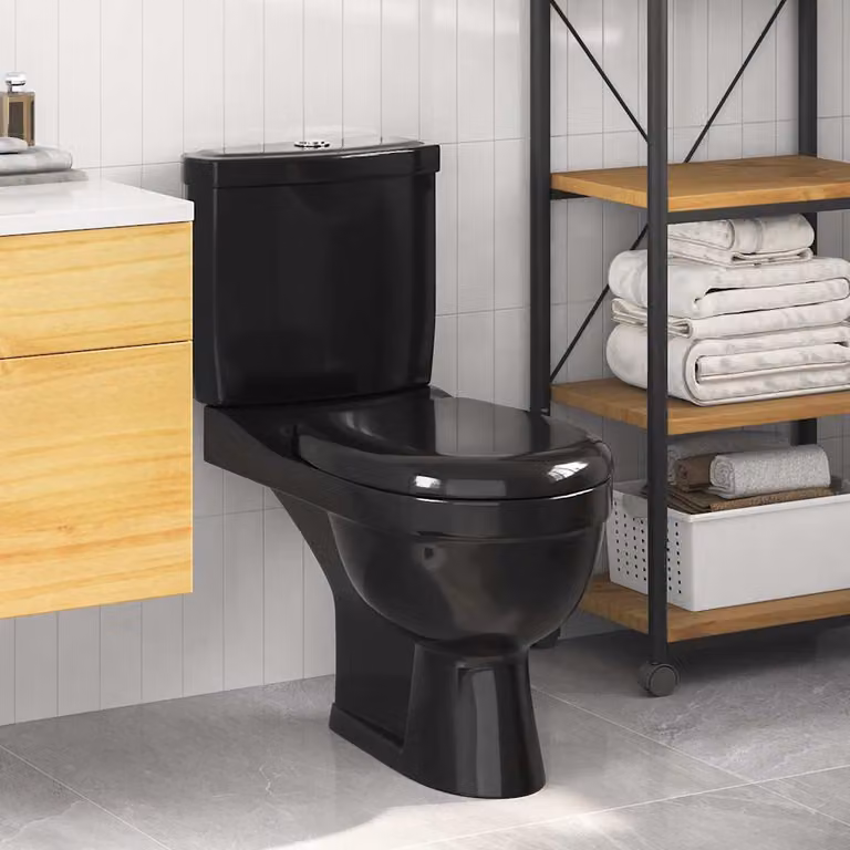Toilette in ceramica con cisterna nera e sedile soft close vidaXL L/P/H: 76 x 39 x 70 cm