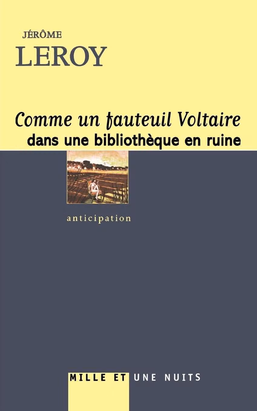 Poltrona romantica per la biblioteca di casa