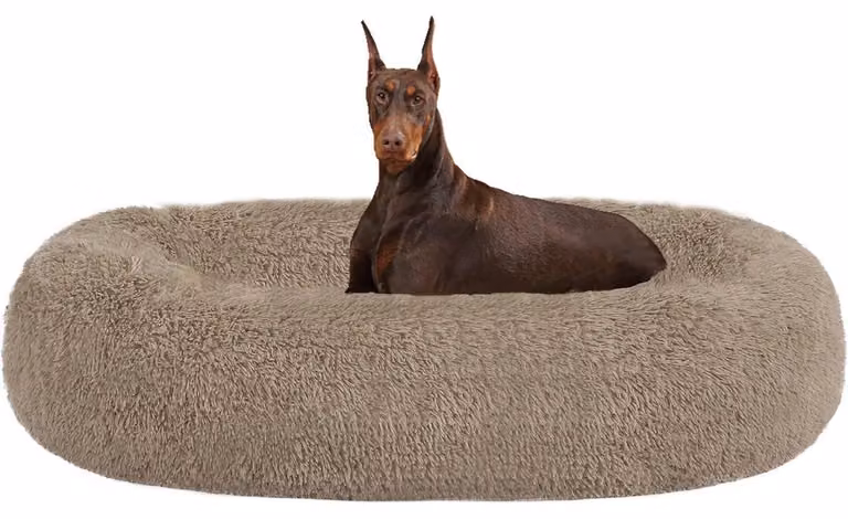 Cuccia ortopedica per cani, forma circolare, diametro 120 cm, color cammello