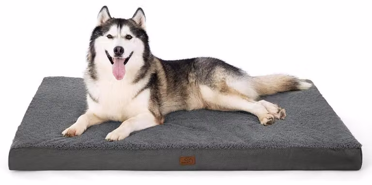 Cuccia ortopedica per cani, 135x91x10 cm, grigio scuro, lavabile
